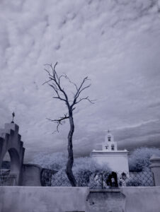Sacred Ground